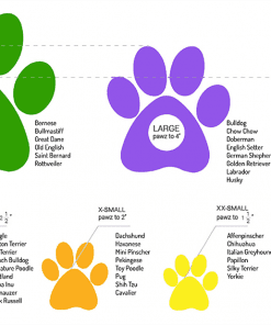 Pawz Rubber Boot Size Chart