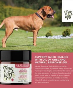 True Leaf Oil of Oregano topical gel for dogs.