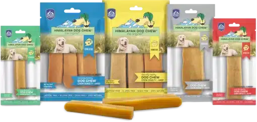 Himalayan Dog Chew Original Cheese Chew