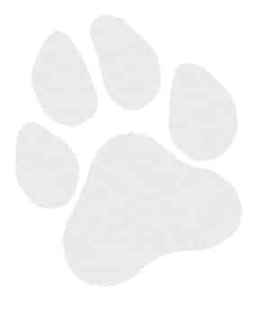 Biopaw