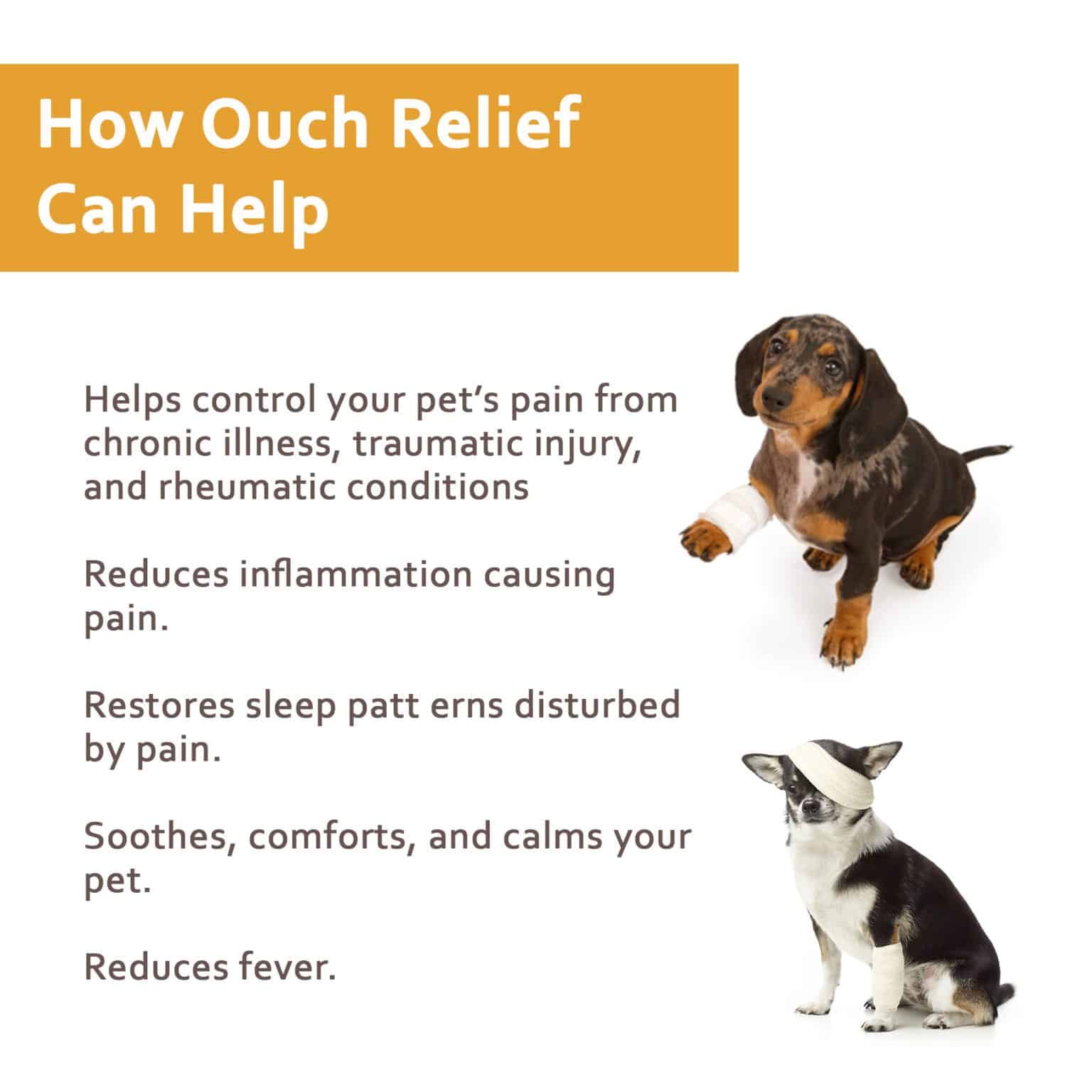 NaturPet Ouch Relief for dogs