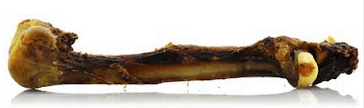 Biopaw