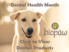 dental_health_side_banner