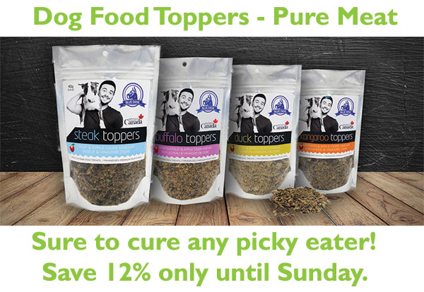blue-dane-Dog Food Toppers