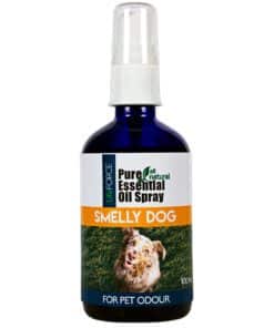 Smelly Dog Essential Oil Spray for Dogs