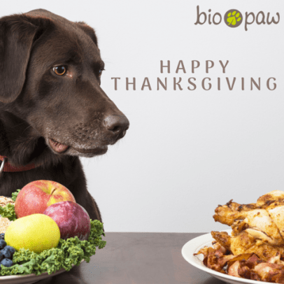 Thanksgiving