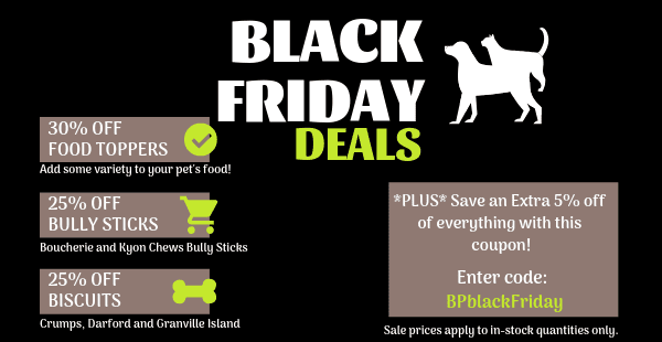 black-friday-2