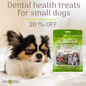 mini-dental-treats