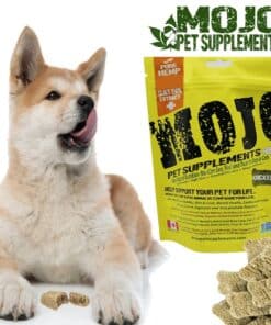 Mojo Pet Supplement CBD Hemp Sativa biscuit treats for dogs and cats.