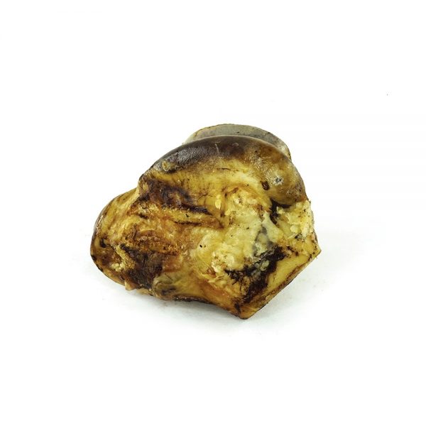 Biopaw