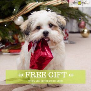 Free Gift with order