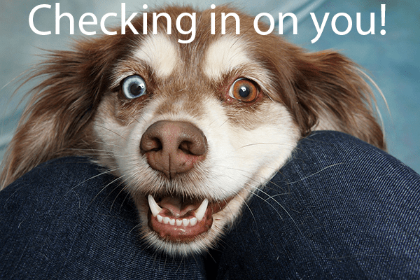 Checking-in-on-you