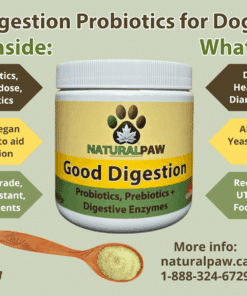 Good Digestion Probiotics for dogs and Cats