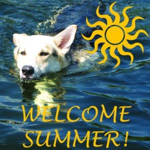 izzi-summer