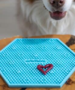 Animora Cranberry dental gel toothpaste for dogs and cats