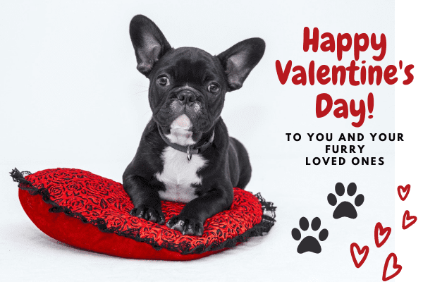 Happy Valentine's Day!