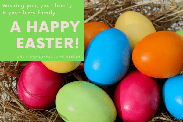 newsletter-easter1