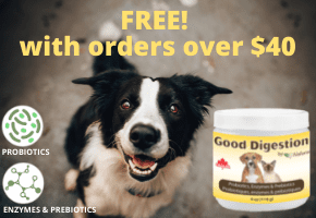 Good Digestion offer