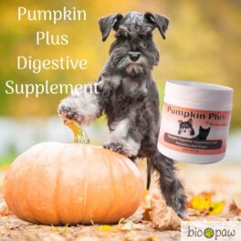 Naturalpaw Pumpkin Plus