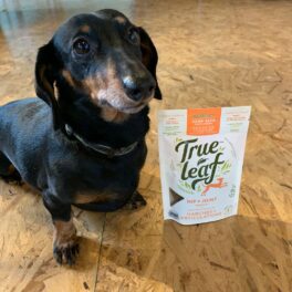 True Leaf hip & joint treats for dogs