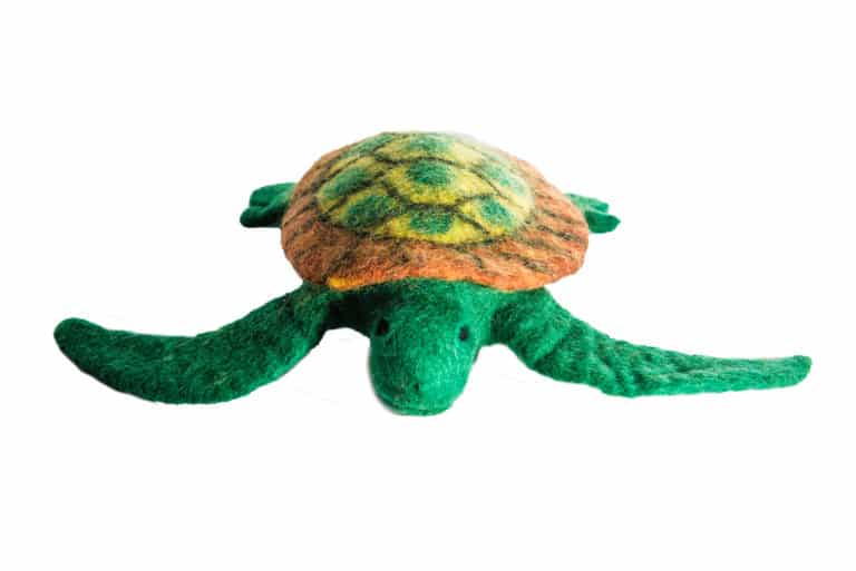 Biopaw
