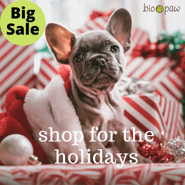 big-sale