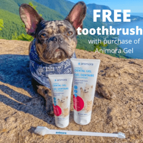 animora-toothbrush
