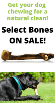 Bones