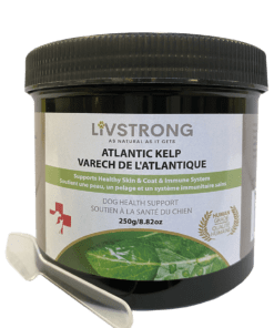 Livstrong Atlantic Kelp - 100g