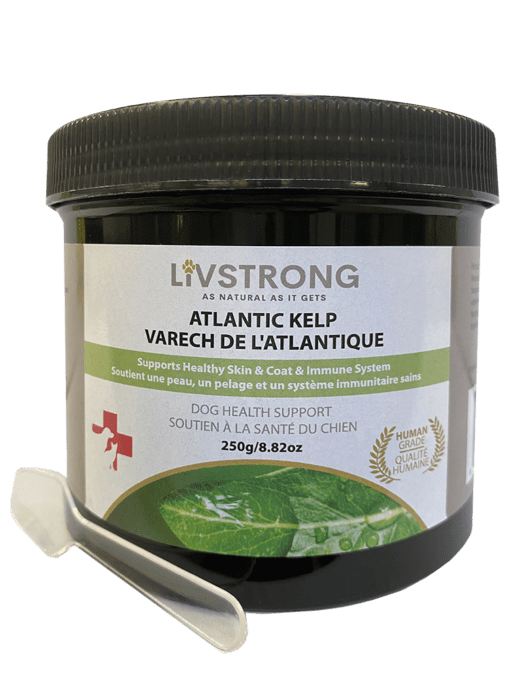 Livstrong Atlantic Kelp - 100g