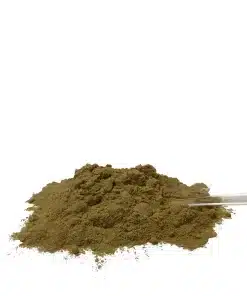 Livstrong Olive Leaf - Powder