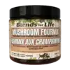 Blends for Life Mushroom Fourmix for pets.