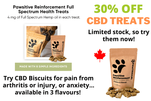 Pawtanical CBD Hemp treats