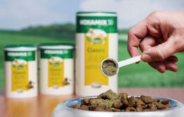 applying-hokamix-powder