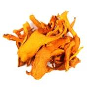 buddy-jack-vegan-treats-papaya-2