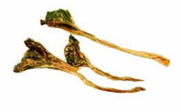 Nature's Own Dog Chews natural Kangaroo Tendons