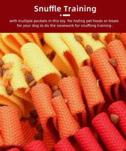 PawzNDogz Fire & Ice Snuffle Mat Challenge Level 2
