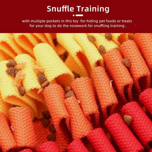 PawzNDogz Fire & Ice Snuffle Mat Challenge Level 2