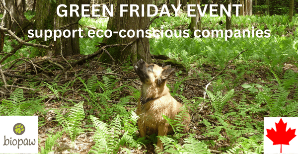 green-friday Event
