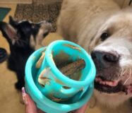 Messy Mutts Puzzle & Play Mushroom Treat Toy by Totally Pooched.