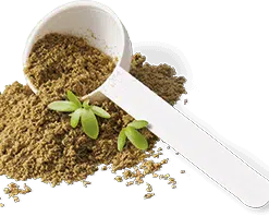 Health & Wellness Supplements