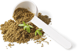 Health Supplements for Dogs, remedies and dog health supplements for optimal health.