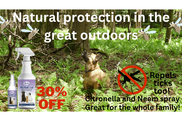 Natural Insect Repellants