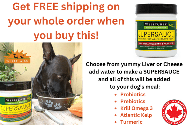 Supersauce meal enhancer for dogs
