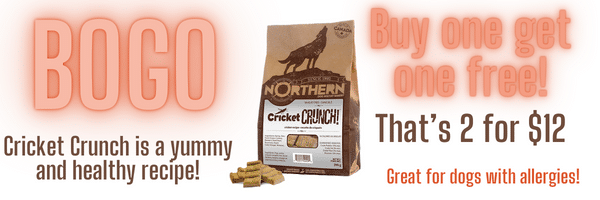 Northern Biscuit Cricket Crunch treats for dogs