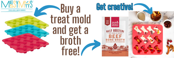 Silicone treat mold and Beef Bone broth