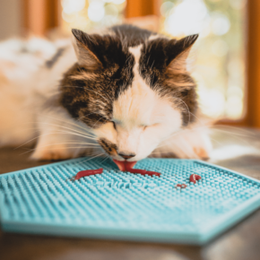 Animora lick mat with cat