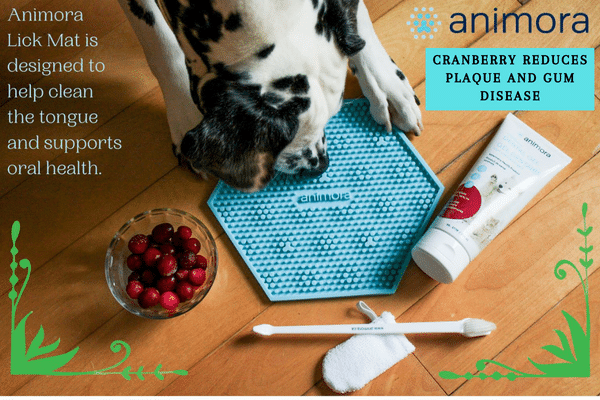 animora-products