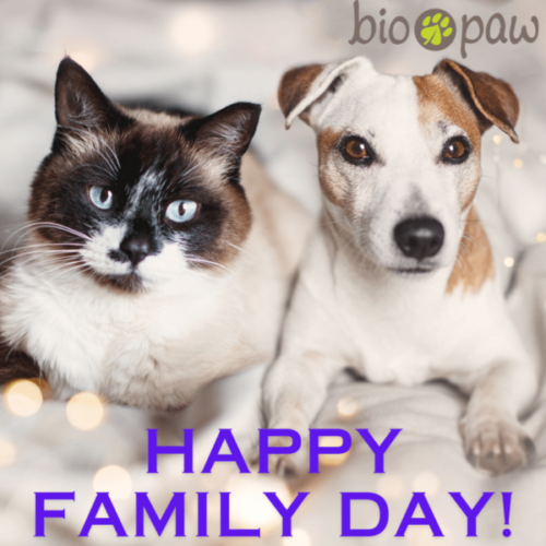 Happy Family Day