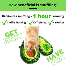 PawZnDogZ Avocado Snuffle Mat